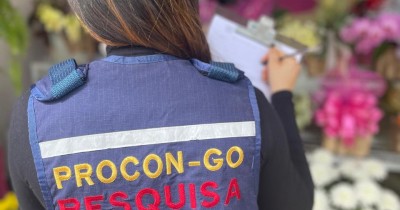 Finados: pesquisa do Procon Goiás aponta variação de até 574% em preço de flores